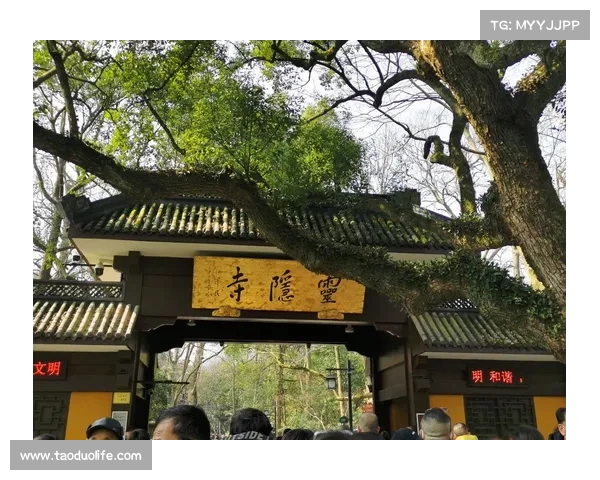 杭州灵隐寺遭遇大水冲击,景区紧急关闭飞来峰应对洪水危机(杭州灵隐寺飞来峰最经典诗词) 杭州灵隐寺遭遇大水冲击,景区紧急关闭飞来峰应对洪水危机(杭州灵隐寺飞来峰最经典诗词)