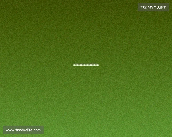 湖人队打出完美团队篮球，轻松战胜对手